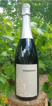 Fles Brut rood