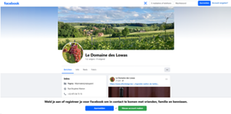 Wijngaard van Domaine des Lowas