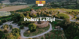 Wijngaard van Podere Le Ripi