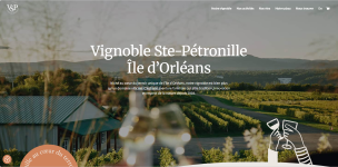 Wijngaard van Vignoble Ste-Pétronille