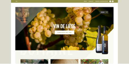 Wijngaard van Vin de Liège (coöperatie)