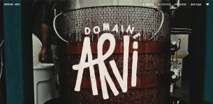 Wijngaard van Domaine Arvi