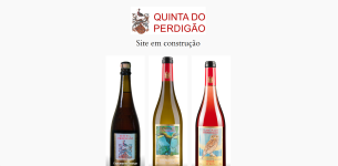 Wijngaard van Quinta do Perdigão