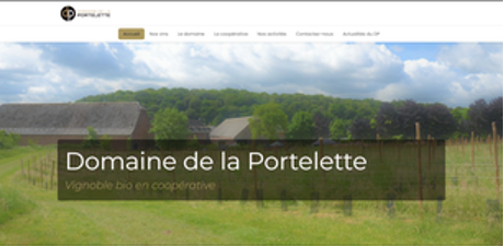 Wijngaard van Domaine de la Portelette