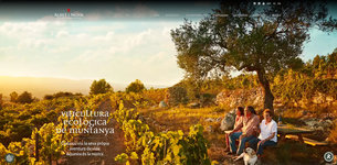 Vignoble de Albet i Noya
