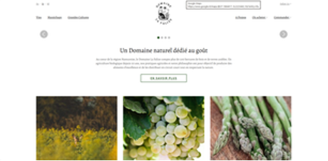 Wijngaard van Domaine La Falize