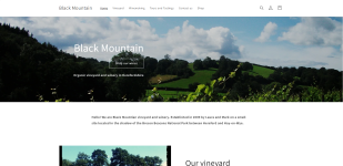 Wijngaard van Black Mountain Vineyard