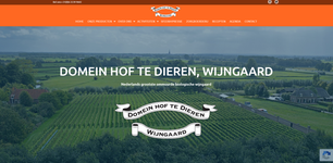 Wijngaard van Domein Hof te Dieren