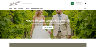 Wijngaard van Sedlescombe Organic Vineyard