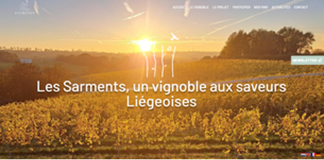 Wijngaard van Vignoble Les Sarments