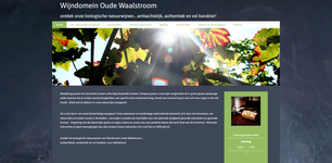 Wijngaard van Wijndomein Oude Waalstroom