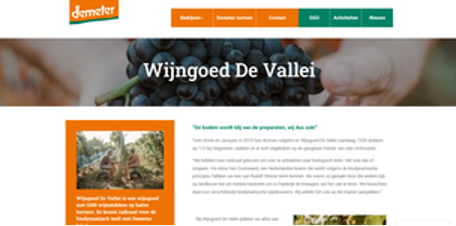 Wijngaard van Wijngoed De Vallei