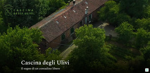Wijngaard van Cascina degli Ulivi