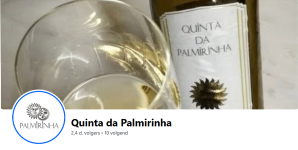 Wijngaard van Quinta da Palmirinha