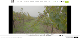 Wijngaard van Quinta do Olival da Murta