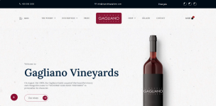 Wijngaard van Vignoble Gagliano