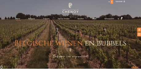 Wijngaard van Domaine Viticole du Chenoy