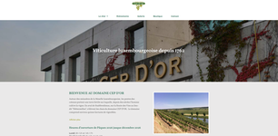 Wijngaard van Domaine Cep d'Or
