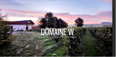 Wijngaard van Domaine W