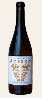 Fles Amfora '24 - Cococciola (IT)