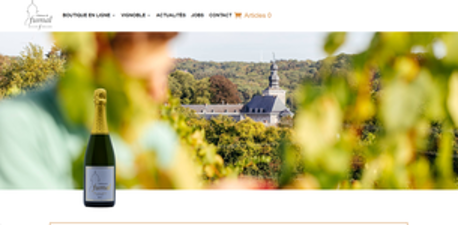 Wijngaard van Château de Fumal