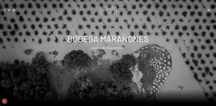 Wijngaard van Bodega Marañones