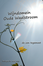 Fles De zon tegemoet
