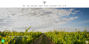 Vignoble de Finca Torremilanos
