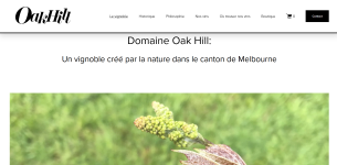Wijngaard van Domaine Oak Hill