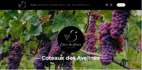 Wijngaard van Coteaux des Avelines
