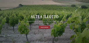 Wijngaard van Altea Illotto